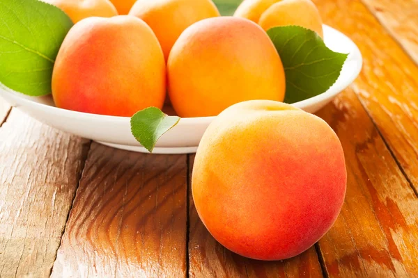 stock image Apricots still life