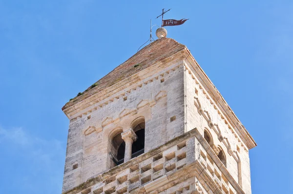 聖 eustachio 大聖堂。アックアヴィーヴァ ・ デッレ ・ フォンティ。プーリア州。イタリア. — ストック写真