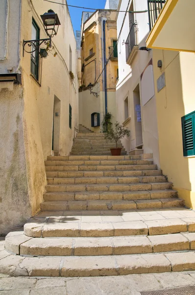 Une ruelle. Otrante. Pouilles. Italie . — Photo