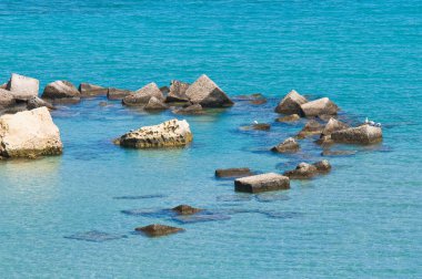 Deniz buzlu. Otranto. Puglia. İtalya.