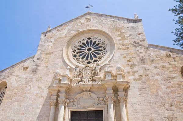 Katedralen i Otranto. Puglia. Italien . - Stock-foto