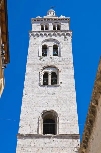 Cattedrale di Barletta. Puglia. Italia . — Foto Stock
