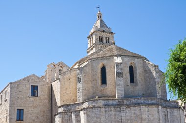 Barletta Katedrali. Puglia. İtalya.