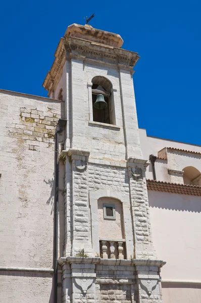 성 마리아 del carmine의 교회입니다. 바를 레 타. 풀리아입니다. 이탈리아. — 스톡 사진
