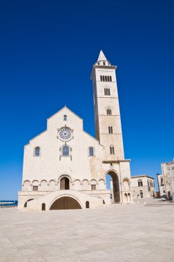 Trani Katedrali. Puglia. İtalya.