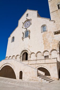 Trani Katedrali. Puglia. İtalya.