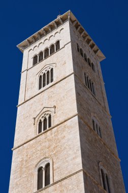 Trani Katedrali. Puglia. İtalya.