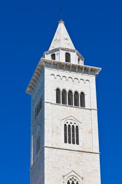 Trani Katedrali. Puglia. İtalya.