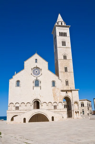 A trani katedrális. Puglia. Olaszország. — Stock Fotó