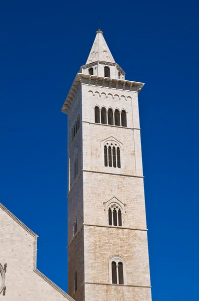 Catedral de Trani. Puglia. Italia . —  Fotos de Stock