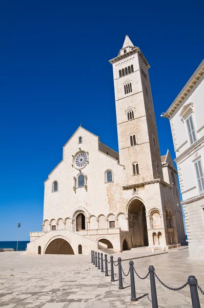 トラーニ大聖堂プーリア州。イタリア. — ストック写真