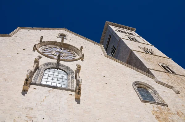 Katedralen i trani. Puglia. Italien. — Stockfoto