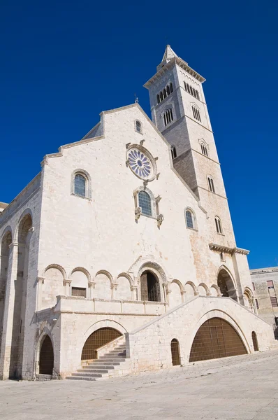 트 라 니의 대성당입니다. 풀리아입니다. 이탈리아. — 스톡 사진
