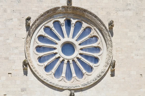特鲁利特拉尼的大教堂。普利亚大区。意大利. — 图库照片