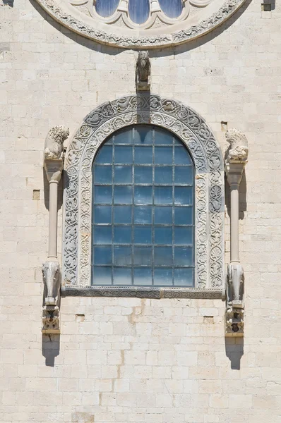 Καθεδρικός ναός του Τρανή. Puglia. Ιταλία. — Φωτογραφία Αρχείου