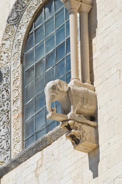 Cathedral of Trani. Puglia. Italy. — Stock Photo, Image