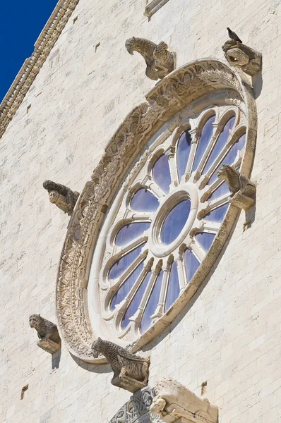 Katedra w Trani. Puglia. Włochy. — Zdjęcie stockowe
