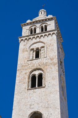 Barletta Katedrali. Puglia. İtalya.