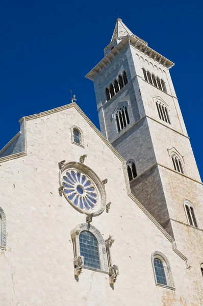 Kathedrale von Trani. Apulien. Italien. — Stockfoto