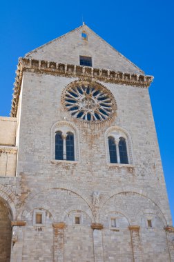 Trani Katedrali. Puglia. İtalya.