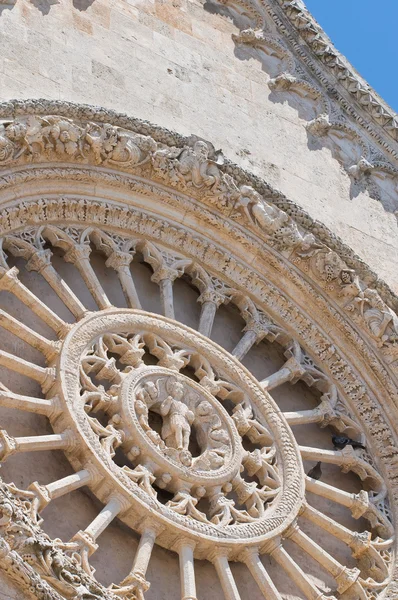 Katedralen i Ostuni. Puglia. Italien . - Stock-foto