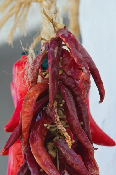 Czerwona papryka chili wiszące odkryty. — Zdjęcie stockowe