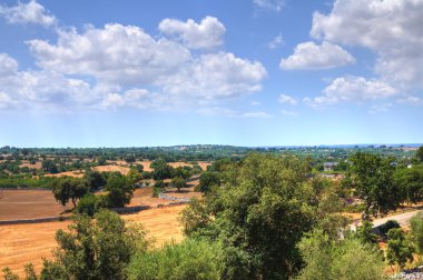 monopoli kırsal panoramik manzaralı. Puglia. İtalya.