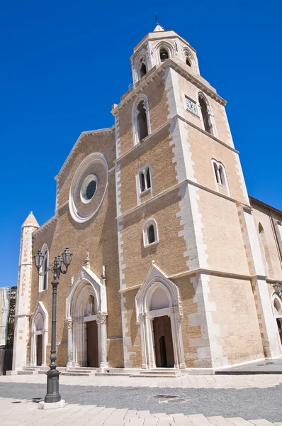 Bazylika katedralna. Lucera. Puglia. Włochy. — Zdjęcie stockowe