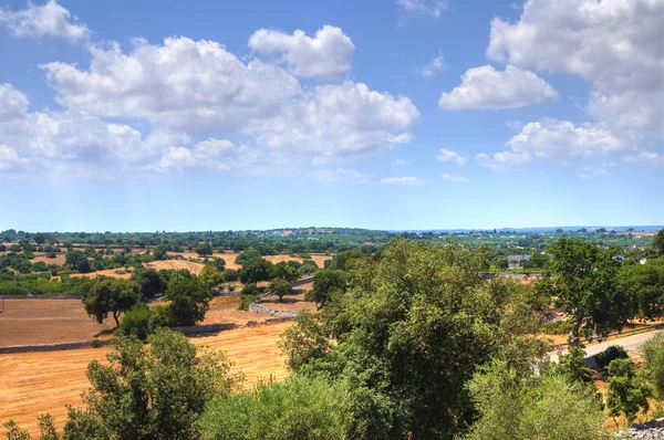 Panoramisch uitzicht op monopoli landschap. Puglia. Italië. — Stockfoto