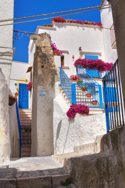 alleyway. Peschici. Puglia. İtalya.