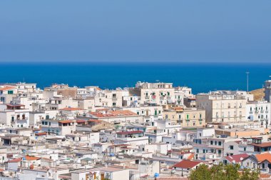 vieste panoramik manzaralı. Puglia. İtalya.