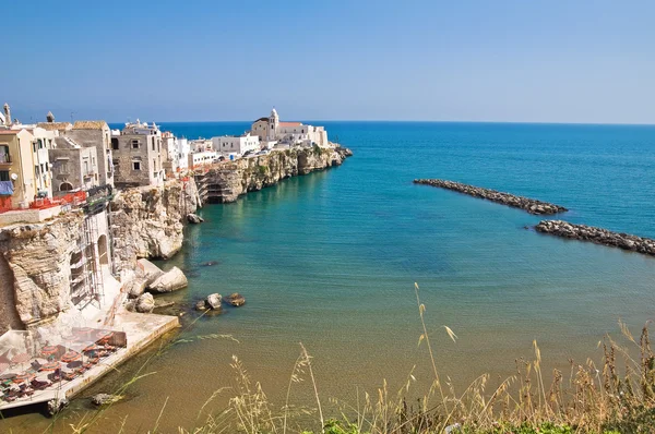 Panoramatický pohled na vieste. Puglia. Itálie. — Stock fotografie