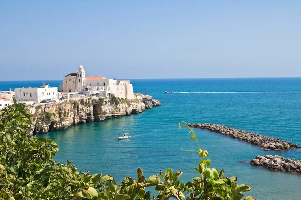 Pemandangan panorama Vieste. Puglia. Italia . — Stok Foto