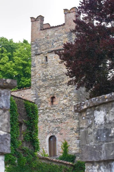 特 · 里瓦的城堡。庞特英国。艾米利亚-罗马涅区。意大利. — Stockfoto