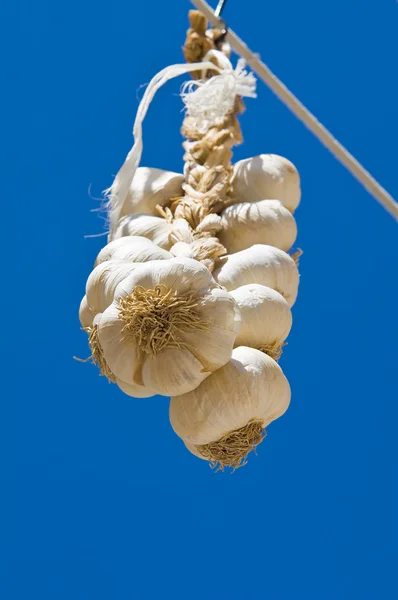 Bunch of garlic. — Stock Photo, Image