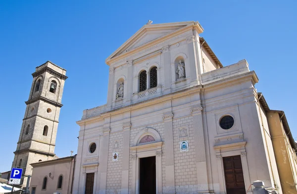Katedrali, st. margherita.tarquinia. Lazio. İtalya. — Stok fotoğraf