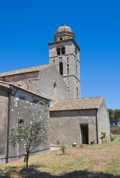 Kościół st. francesco. Tarquinia. Lazio. Włochy. — Zdjęcie stockowe