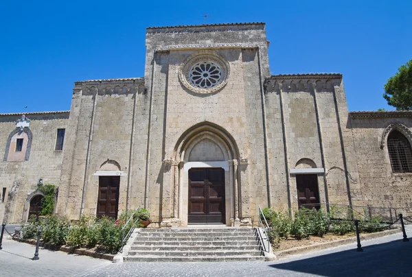 Iglesia de San Francesco. Tarquinia. Lazio. Italia . —  Fotos de Stock