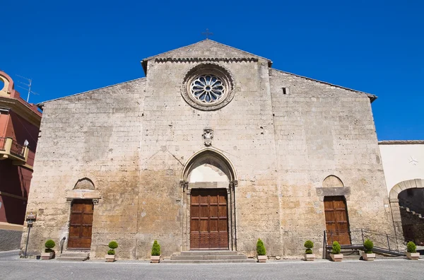 Церковь Святого Джованни Баттисты. Тарквиния. Лацио. Италия . — стоковое фото