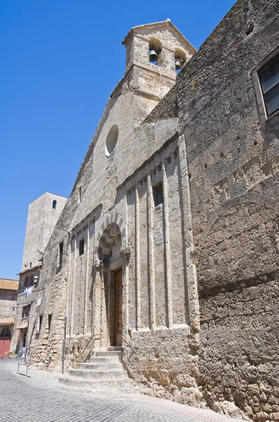 教会的圣马蒂诺。塔尔奎尼亚。拉齐奥。意大利. — 图库照片