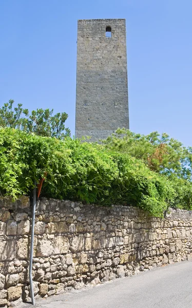 Turm und campo cialdi. Tarquinia. Latium. Italien. — Stockfoto