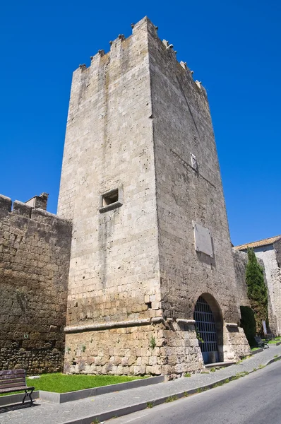 A torre do Dante. Tarquinia. Lazio. Itália . — Fotografia de Stock