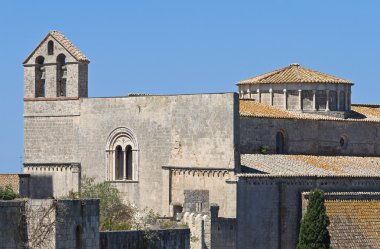 St. Maria in Castello Church. Tarquinia. Lazio. Italy. clipart