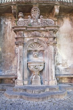 Giannotti fountain. Tuscania. Lazio. Italy. clipart