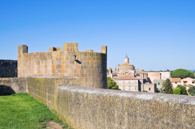 güçlendirilmiş duvarlar. Tuscania. Lazio. İtalya.