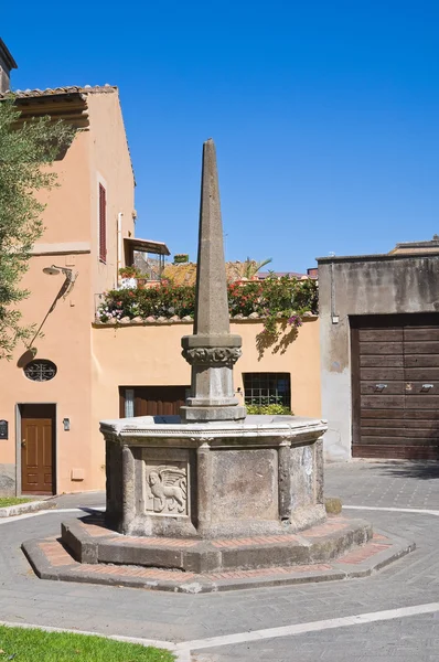 Monumentalna fontanna. Tarquinia. Lazio. Włochy. — Zdjęcie stockowe