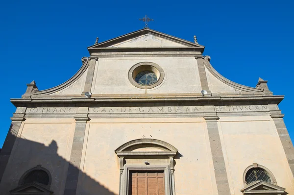 Catedral de Santa Giacomo.Tuscania. Lazio. Italia . —  Fotos de Stock