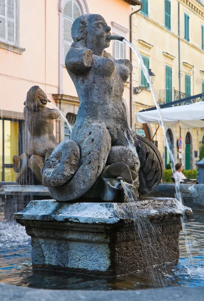 Fontana di Poggio. Tuscania. Lazio. Italia . — Foto Stock