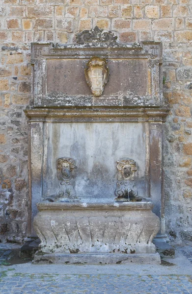 Monumental fountain. Tuscania. Lazio. Italy. — Stock Photo, Image