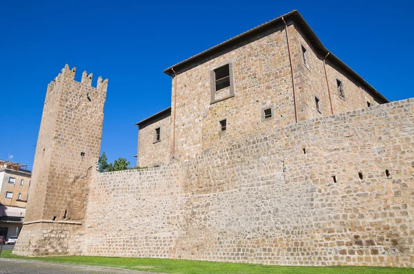Güçlendirilmiş duvarlar. Tuscania. Lazio. İtalya. — Stok fotoğraf